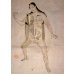 画像2: レメリン解剖図（英）　解体新書より早い日本最初の解剖書の原本 42×31cm 11頁　銅版図４枚　 (2)