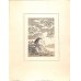 画像5: 稀覯本　長谷川潔・挿絵銅版画（仏）竹取物語（La legende de la demoiselle de lumiere)] 限定150部のNo.7