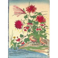 ちりめん絵　無題  ( 花鳥画　１3)　イセ辰版